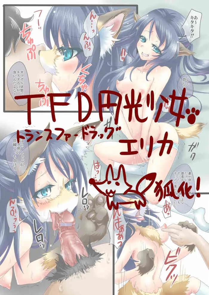 [麦芽糖] TFD円光少女エリカ
