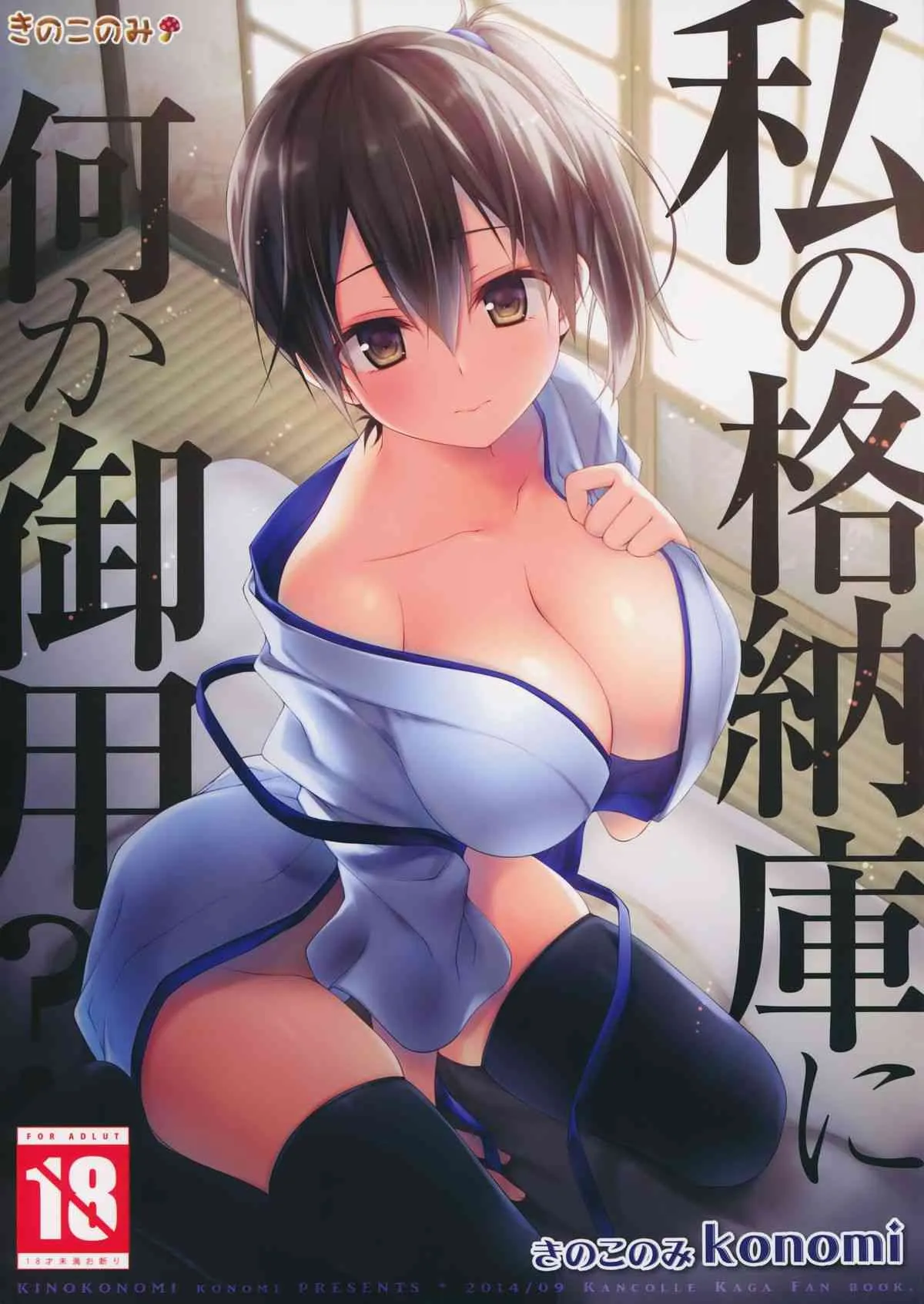 (砲雷撃戦!よーい!12戦目) [きのこのみ (konomi)] 私の格納庫に何か御用？ (艦隊これくしょん -艦これ-)