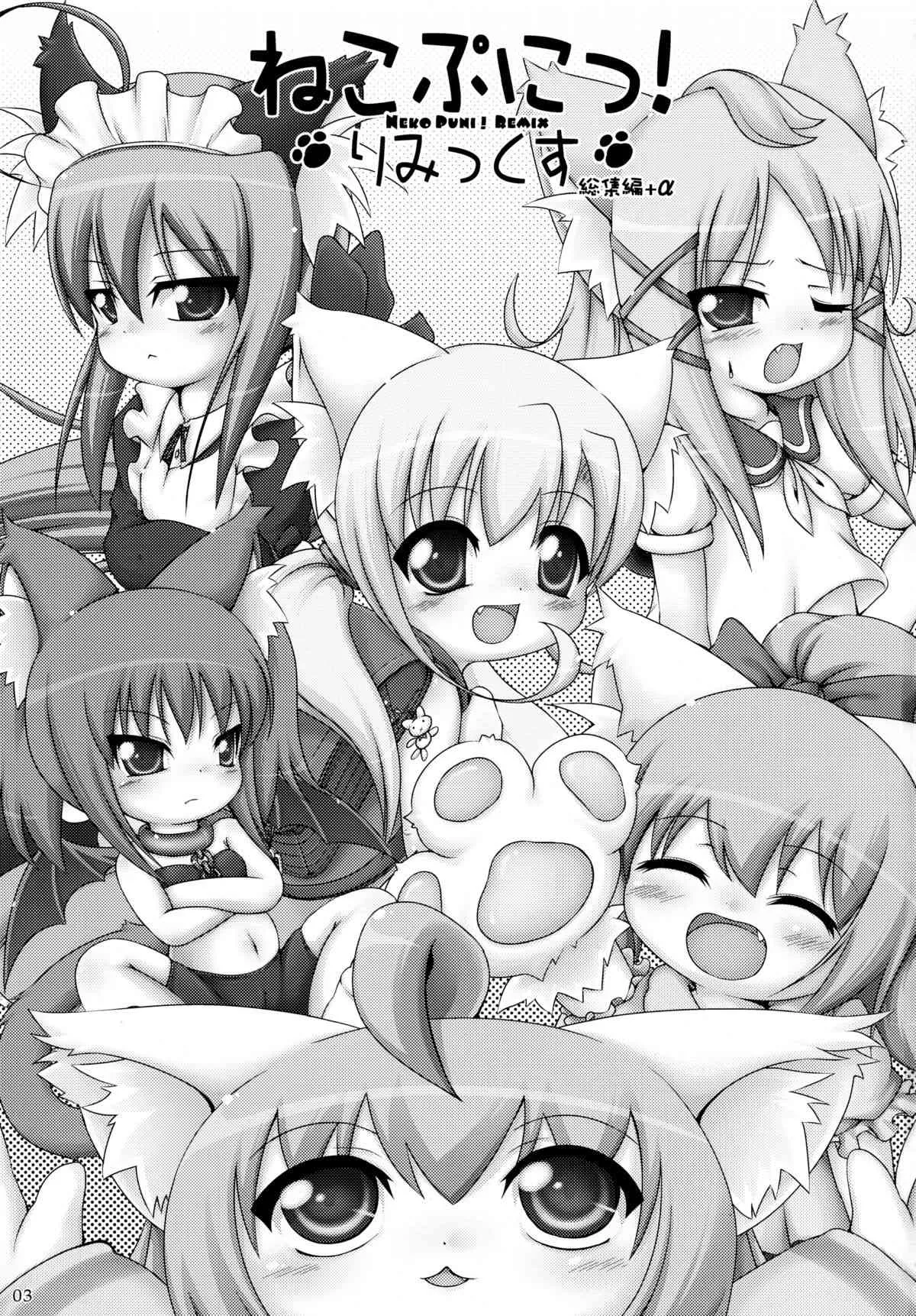 (C77) [きゃっといいえっくす (猫兎)] ねこぷにっ!りみっくす_3