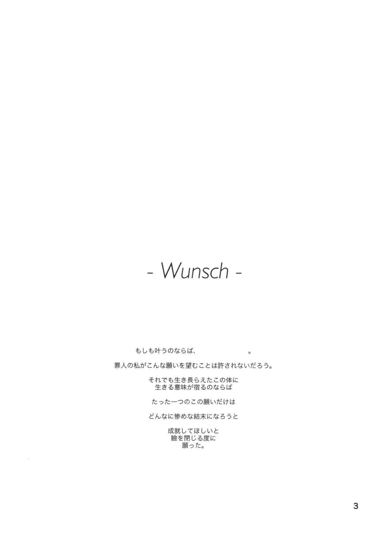 (C85) [HB] Wunsch (戦姫絶唱シンフォギア)_3