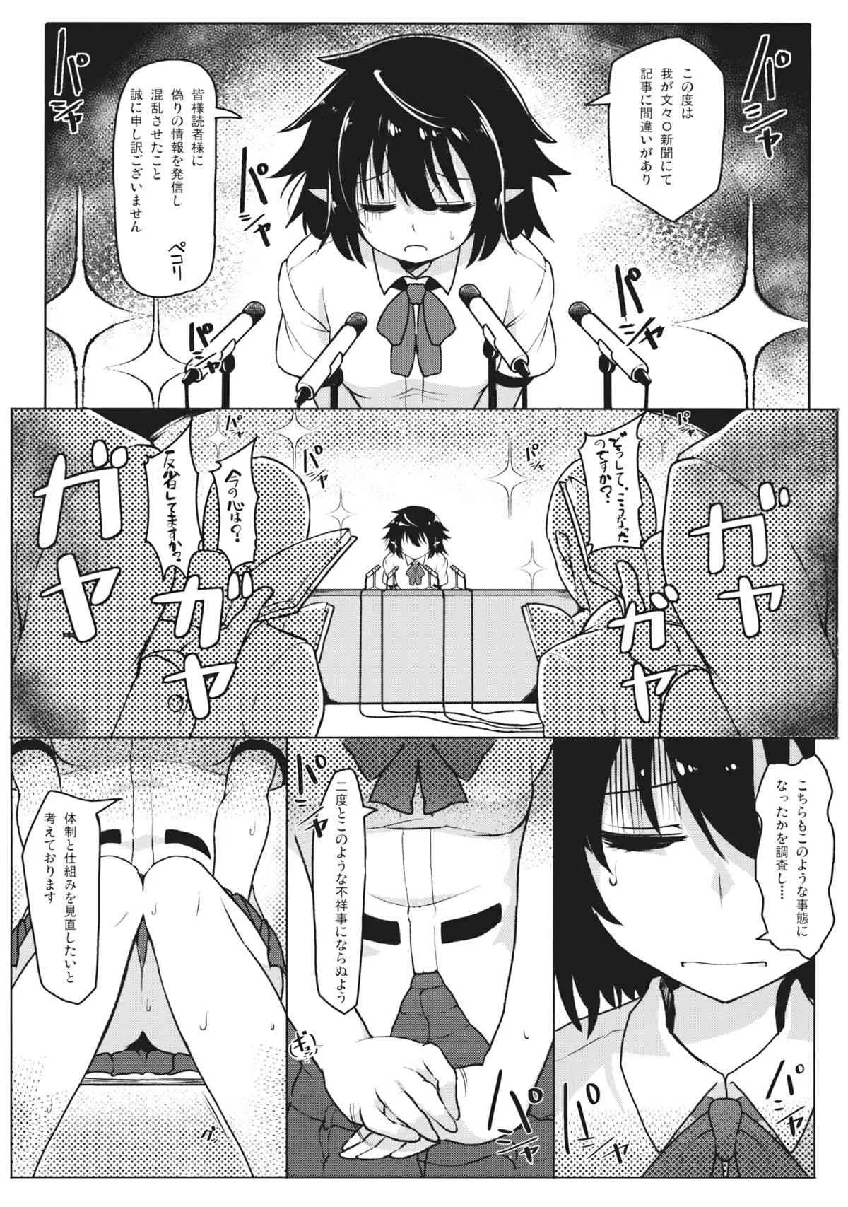 (例大祭12) [たけ家 (竹虎スズメ)] 文々O新聞大謝罪感謝祭 (東方Project)_2