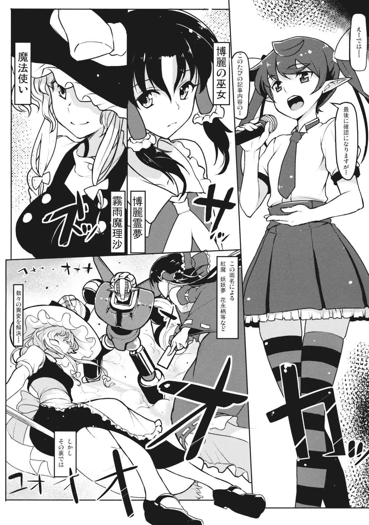 (例大祭12) [たけ家 (竹虎スズメ)] 文々O新聞大謝罪感謝祭 (東方Project)_3
