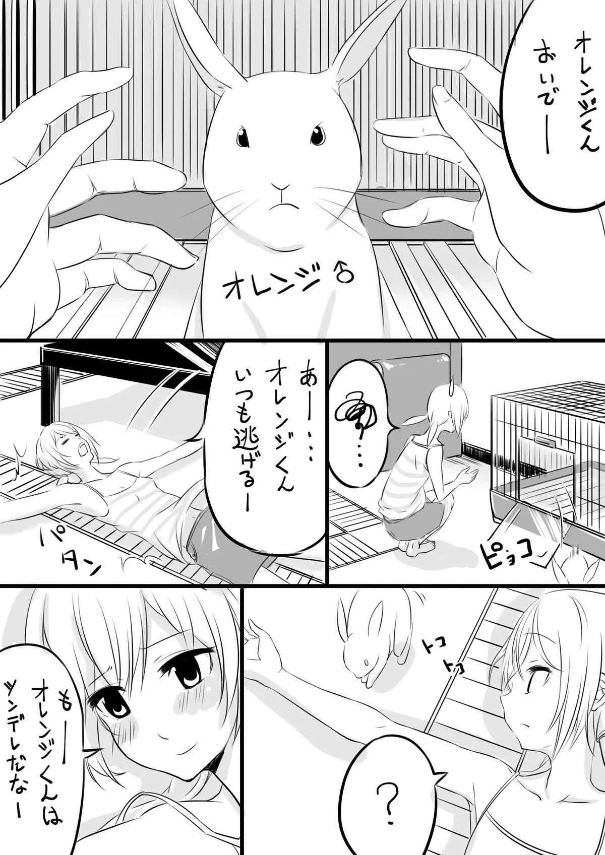 [n] オレンジくん_2