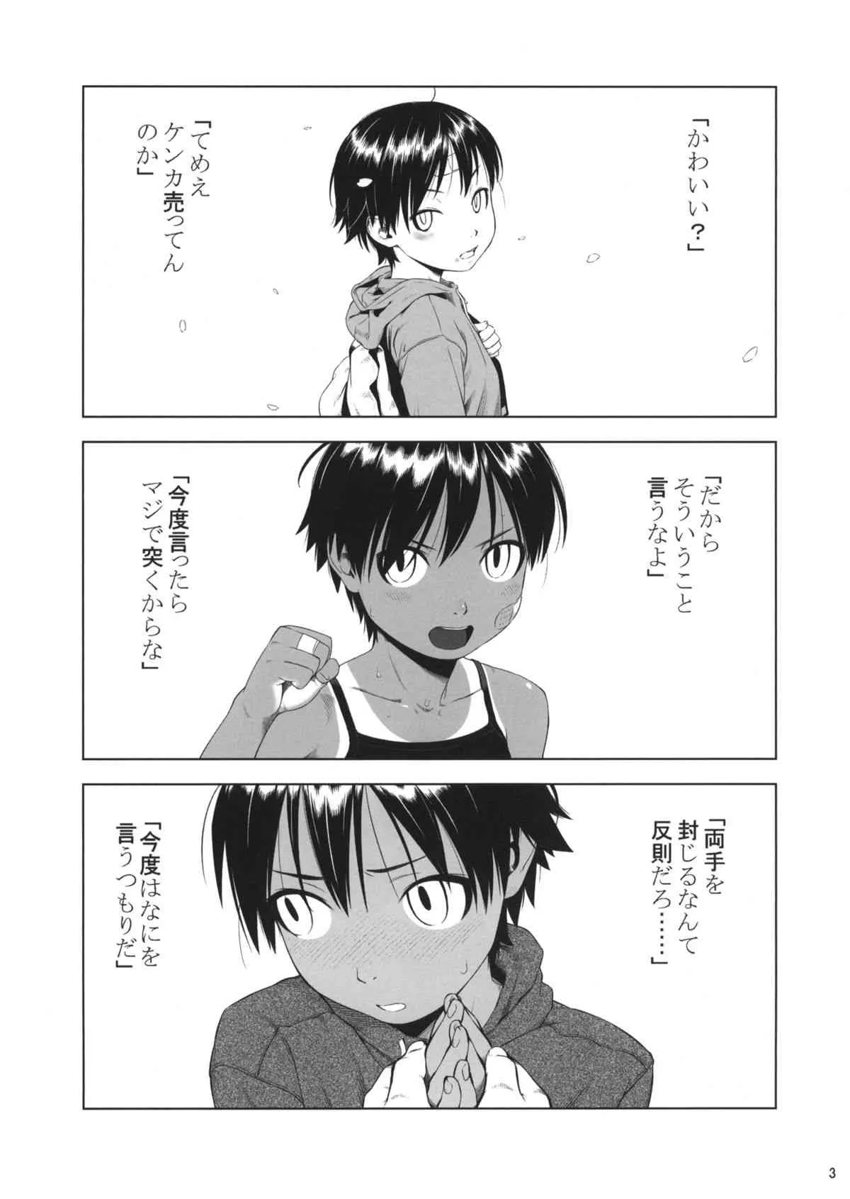 (C87) [ぐる～ぷひのらん (わんぱく)] クロオビプリンセス + コミティア112ペーパー_3