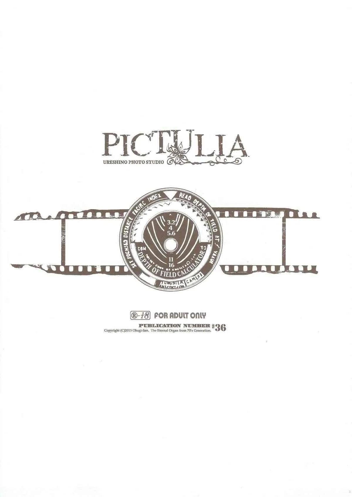 (COMIC1☆9) [70年式悠久機関 (おはぎさん)] pictulia + 4Pリーフレット_3