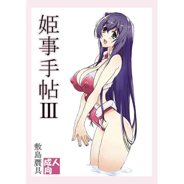 [敷島贋具] 姫事手帖3 sample