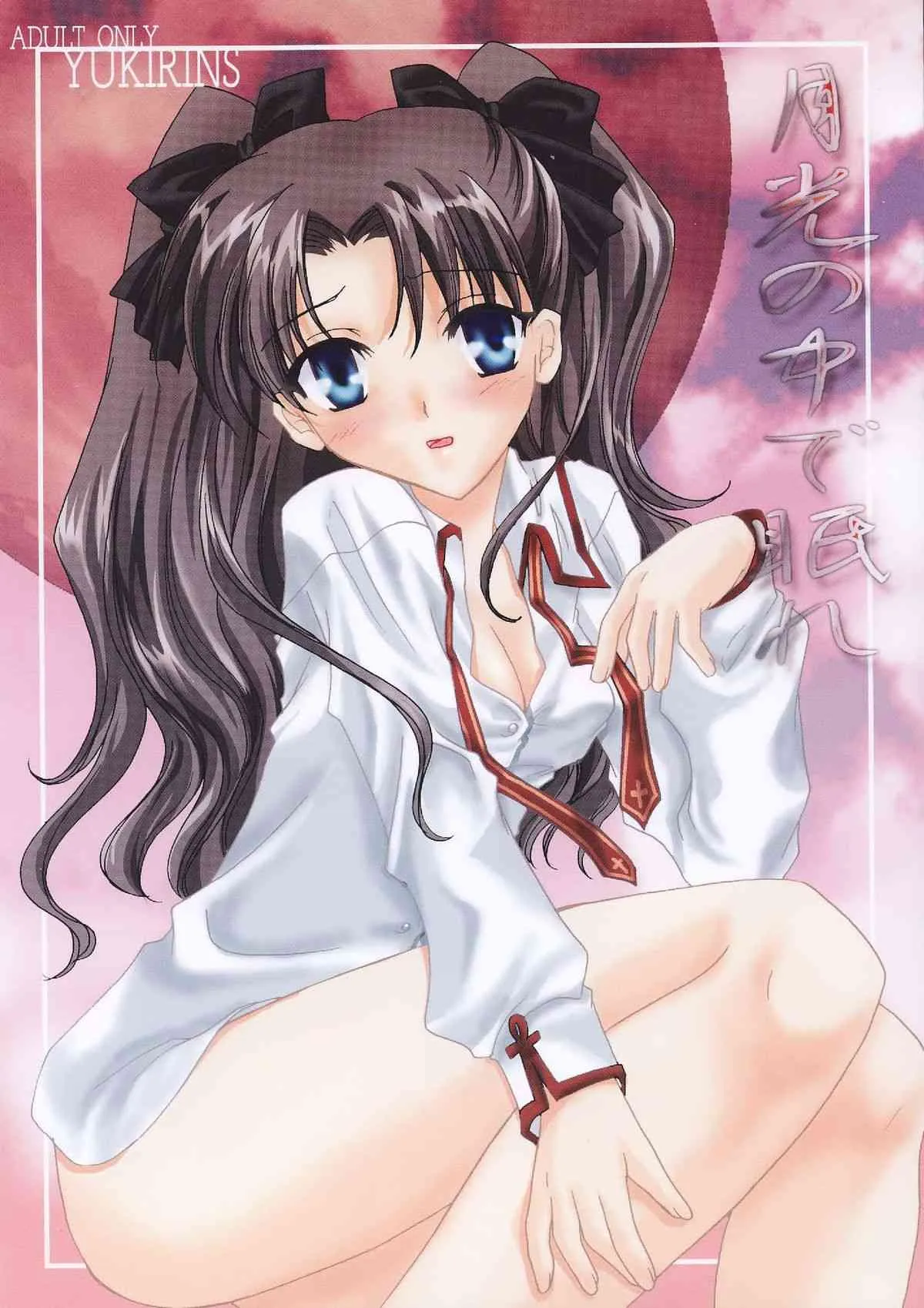 [YUKIRINS (ゆうにゃん)] 月光の中で眠れ (Fate/stay night) [DL版]