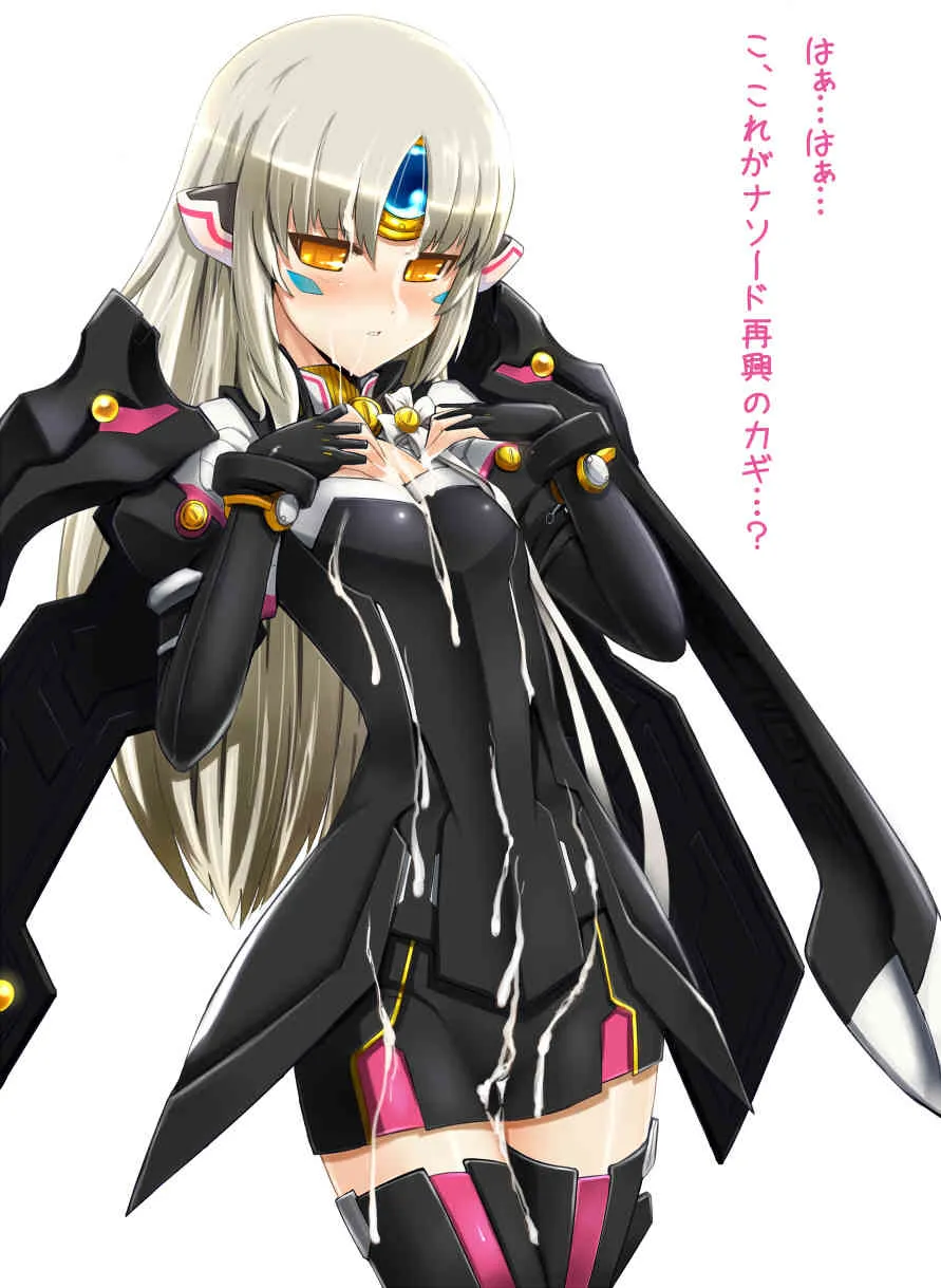 Elsword CodeNemesis swimsuit_6
