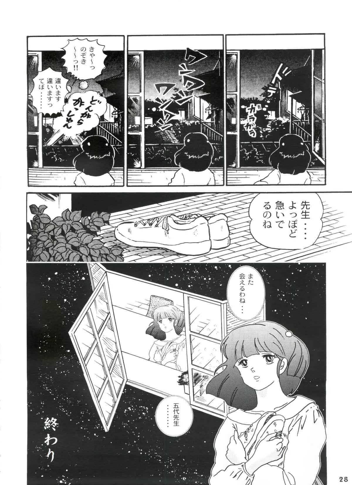 image_29