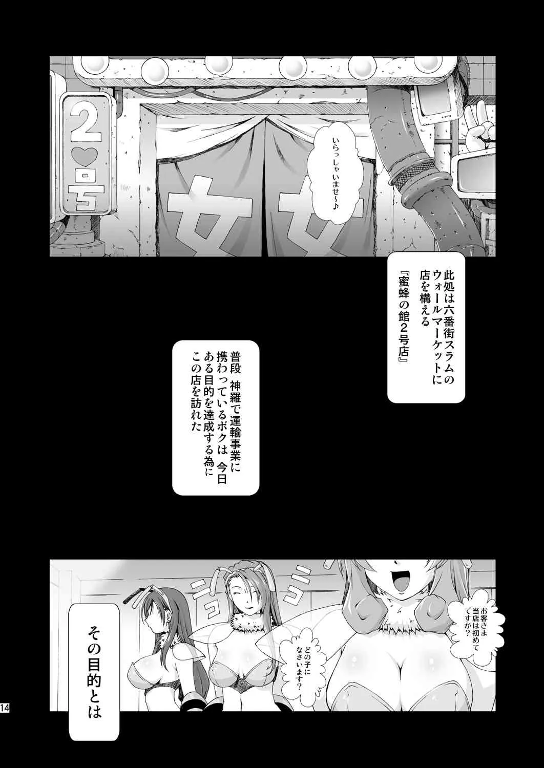 image_14
