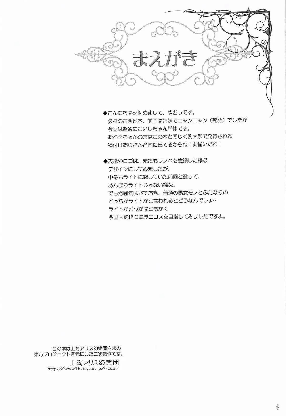(例大祭12) [Reverse Noise (やむっ)] 目立ちたがりの快楽主義者 (東方Project)_3