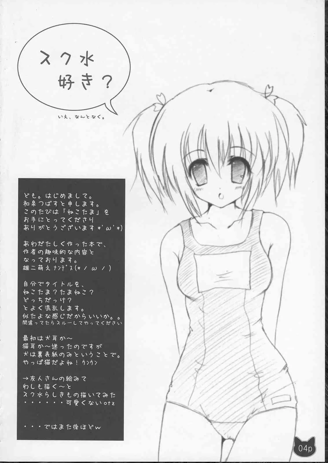 (C68) [翡翠亭 (和泉つばす)] ねこたま (トゥハート2)_4