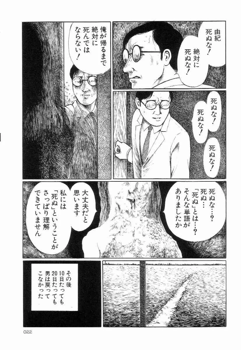 image_26