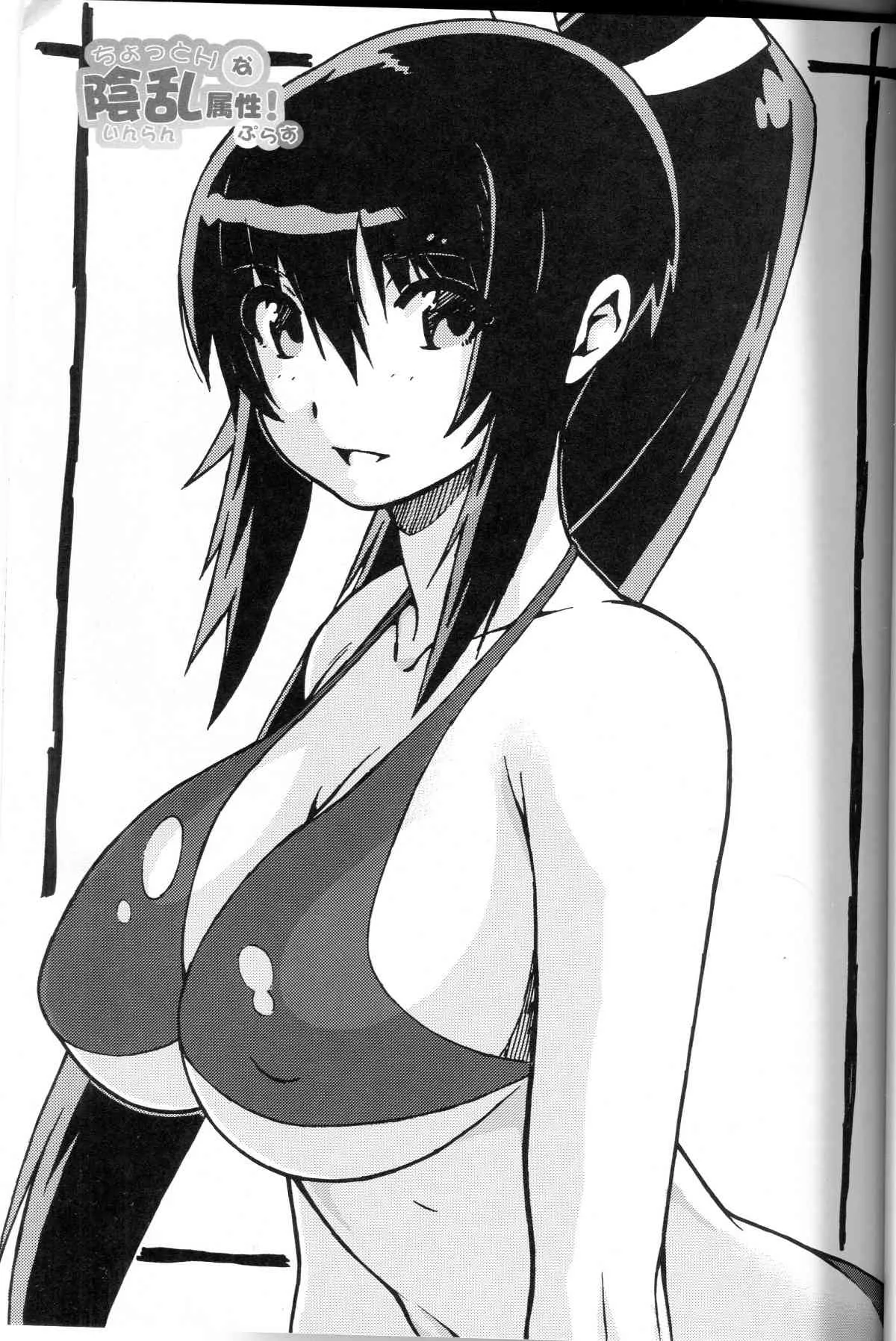 (サンクリ57) [mog. (モッチィー)] ちょっとHな陰乱属性ぷらす (閃乱カグラ)_2