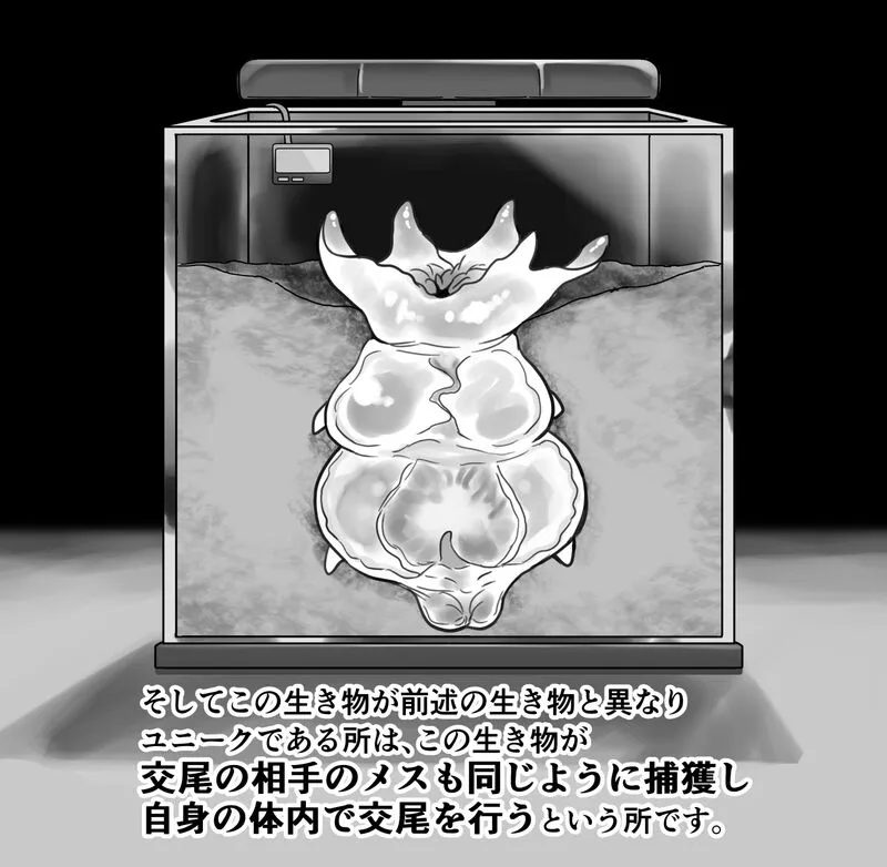 【衝撃】触手生物の巣穴にメスを入れてみた結果がヤバすぎた…_2