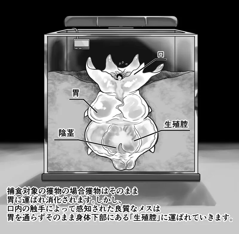 【衝撃】触手生物の巣穴にメスを入れてみた結果がヤバすぎた…_6