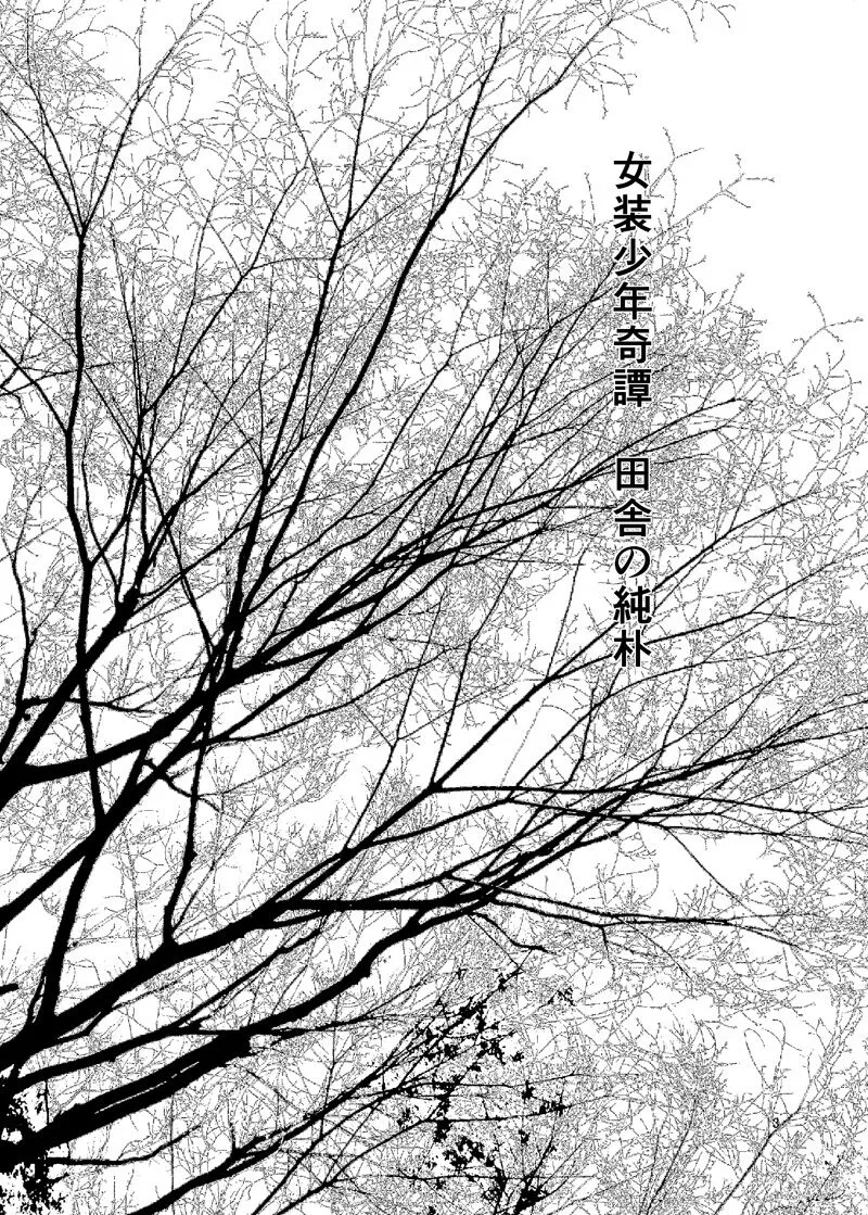 [Haikibutsu (Daichi)] Kinbaku Josou Shounen Inaka [Digital]_2