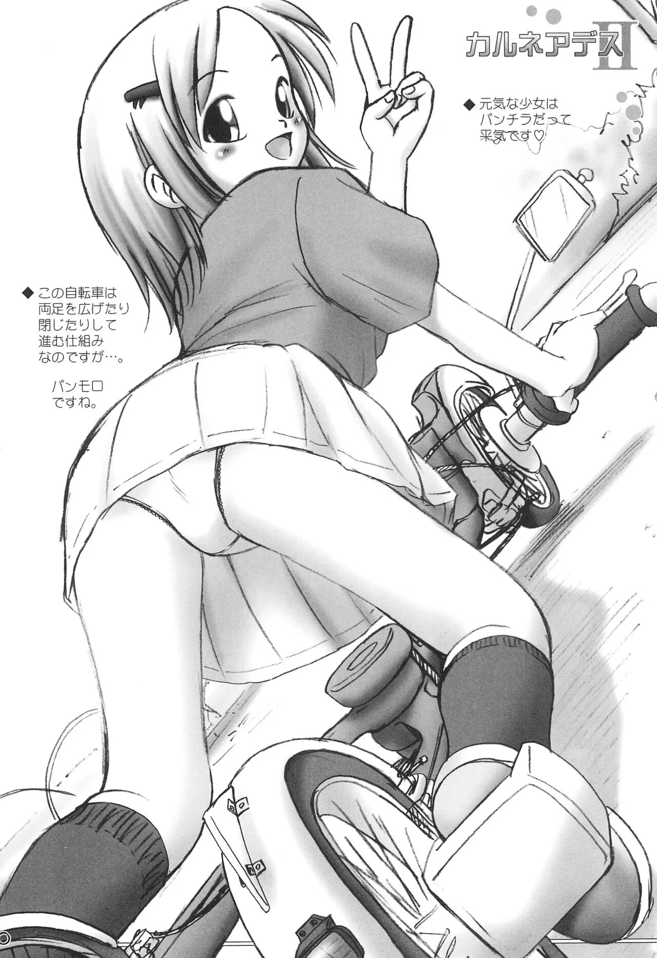 (C68) [独立愚連隊 (某零)] カルネアデス 2号_10
