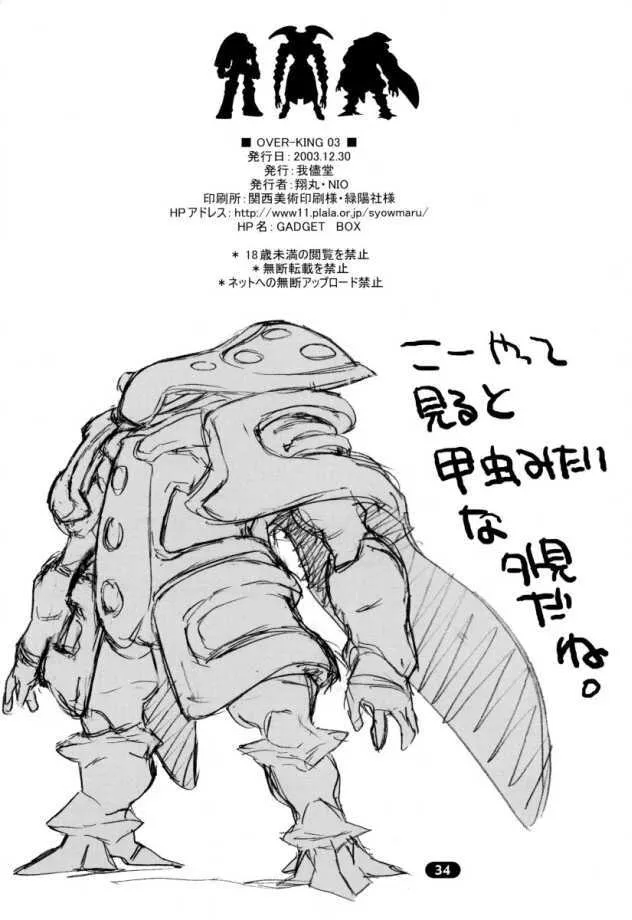 image_33
