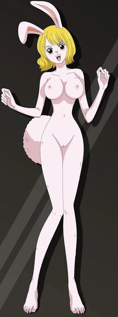 one piece fav_9