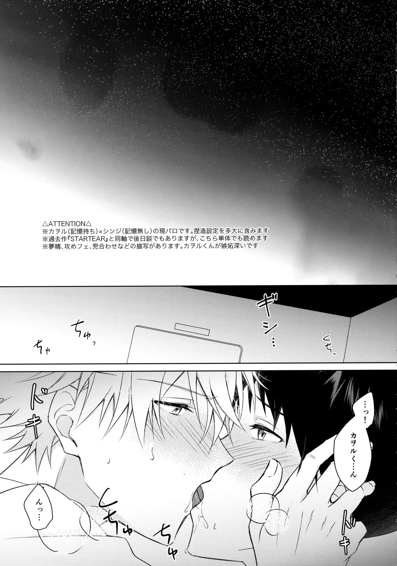 [緋毬 (えむ)] スターゲイザー (新世紀エヴァンゲリオン)_2