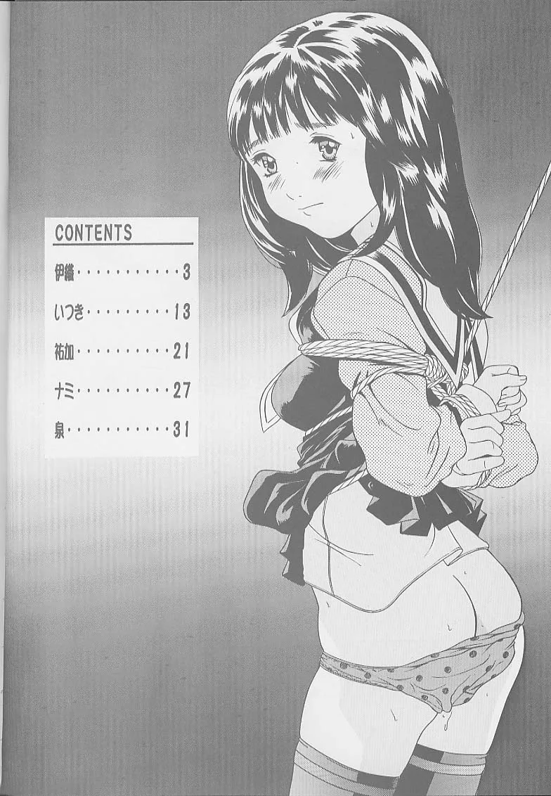 [モモンガ倶楽部 (林原ひかり)] I&‘s アイズヒロイン官能イラスト集 (アイズ) [ページ欠落]_4