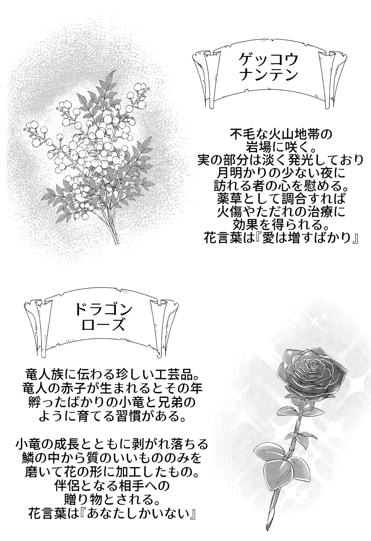 image_76