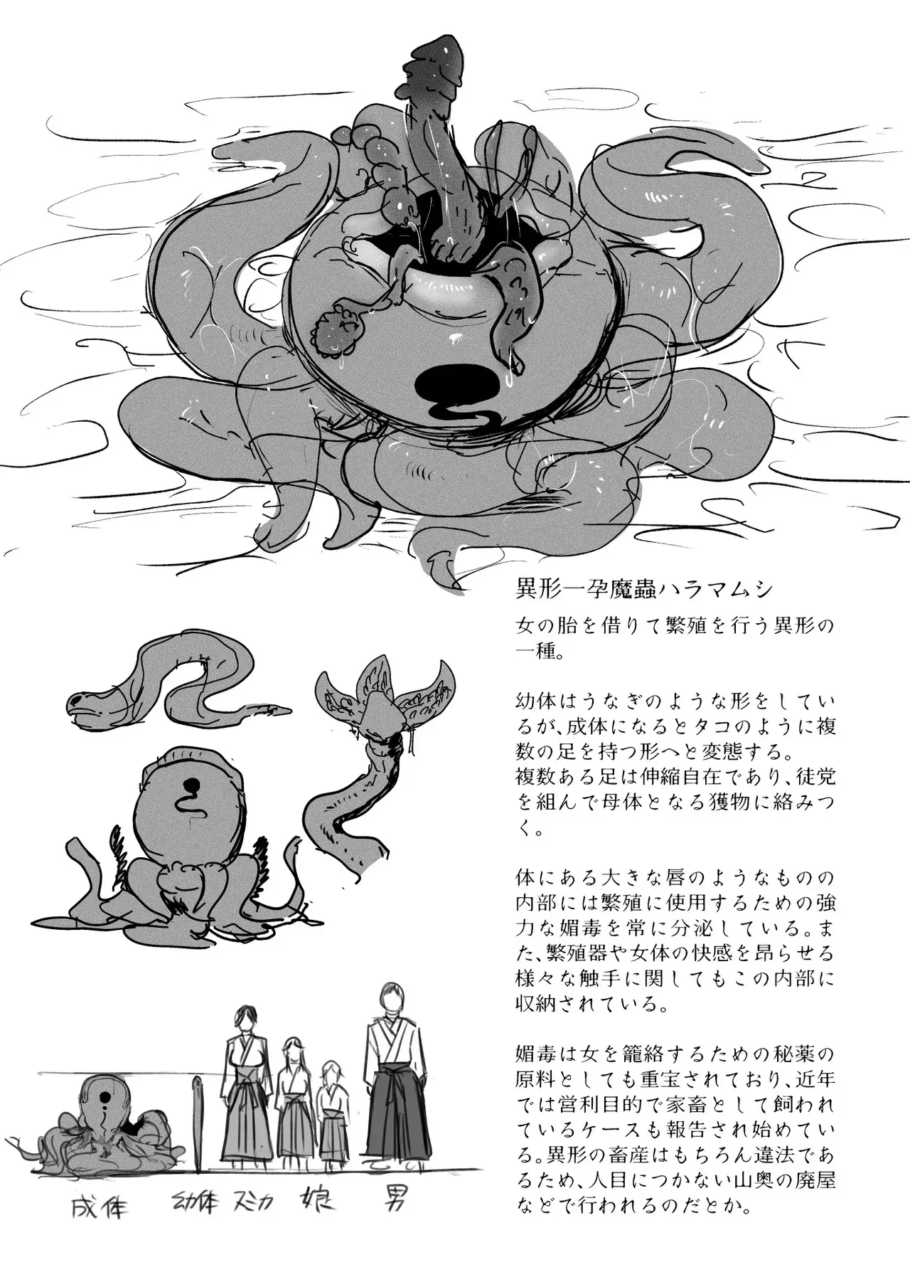 image_41