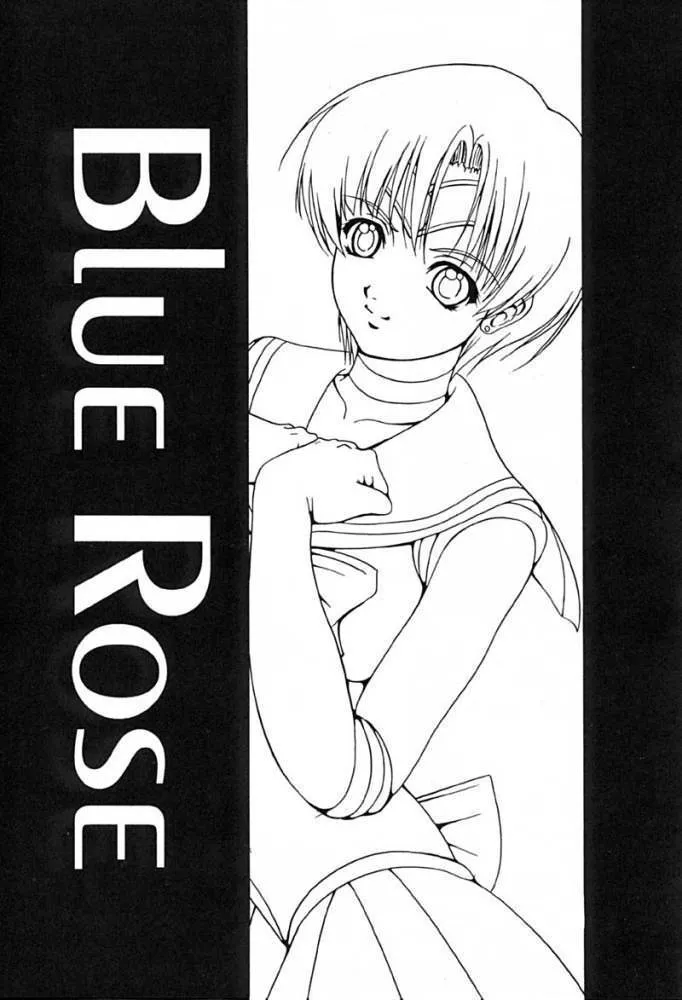 (C61) [菊花酒楼 (菊水)] Blue Rose (美少女戦士セーラームーン)_2