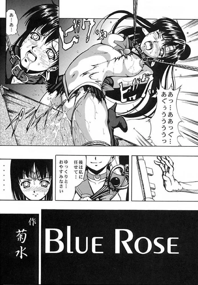 (C61) [菊花酒楼 (菊水)] Blue Rose (美少女戦士セーラームーン)_7