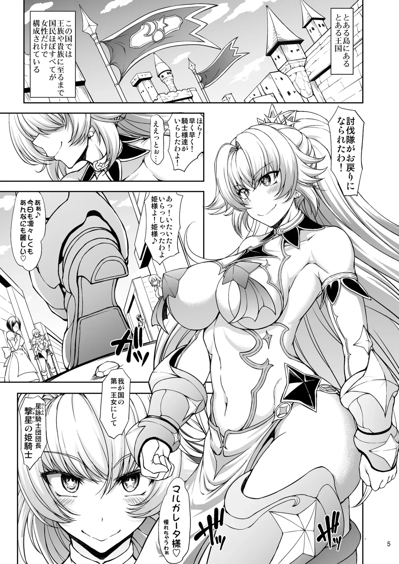 [眞嶋堂 (まとう)] 姫騎士様は視られたい! [DL版]_5