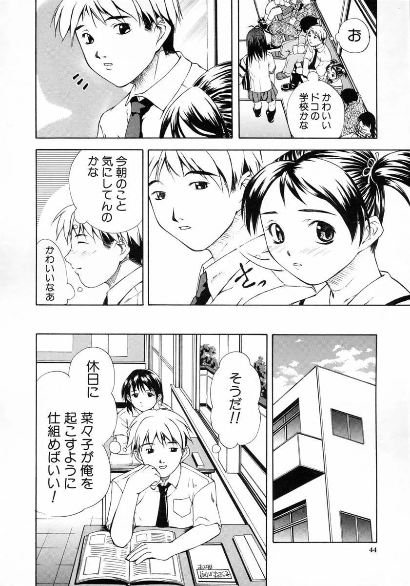 image_48