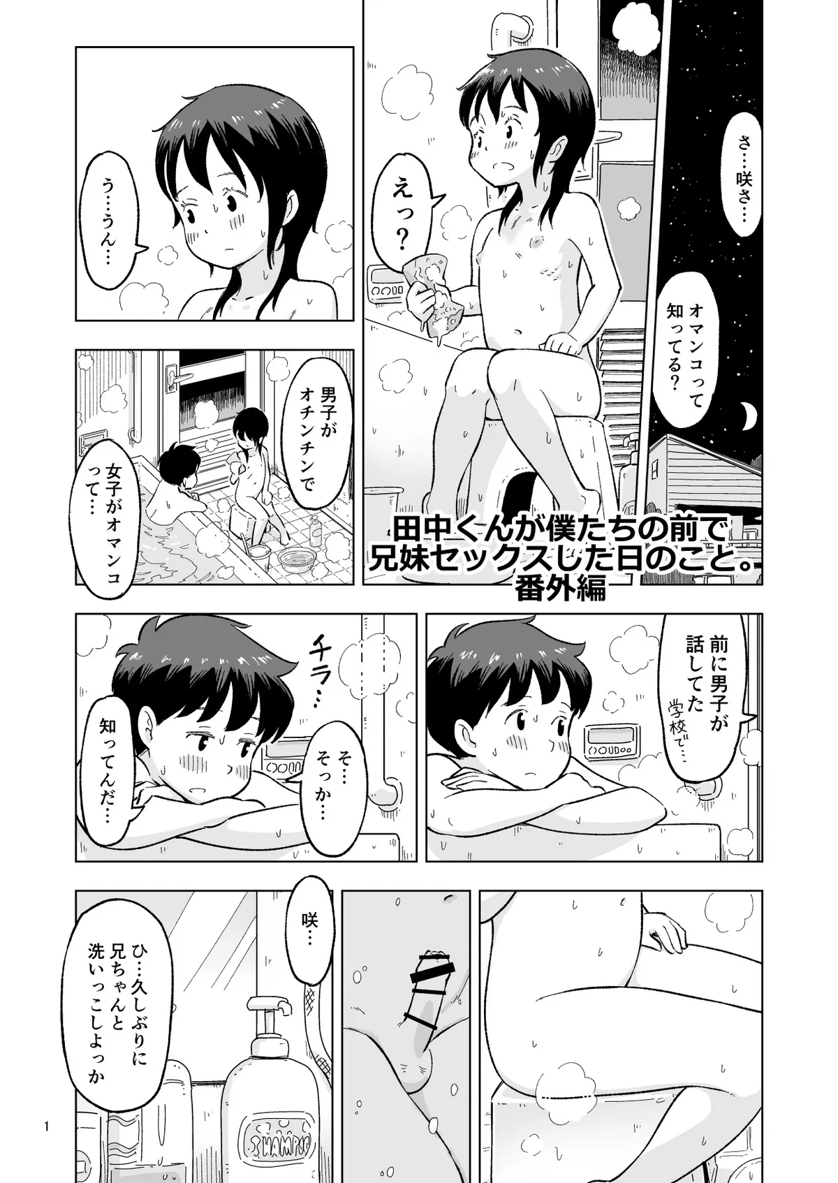 [Lithiumの個人サークル (Lithium)] 田中くんが僕たちの前で兄妹セックスした日のこと 番外編