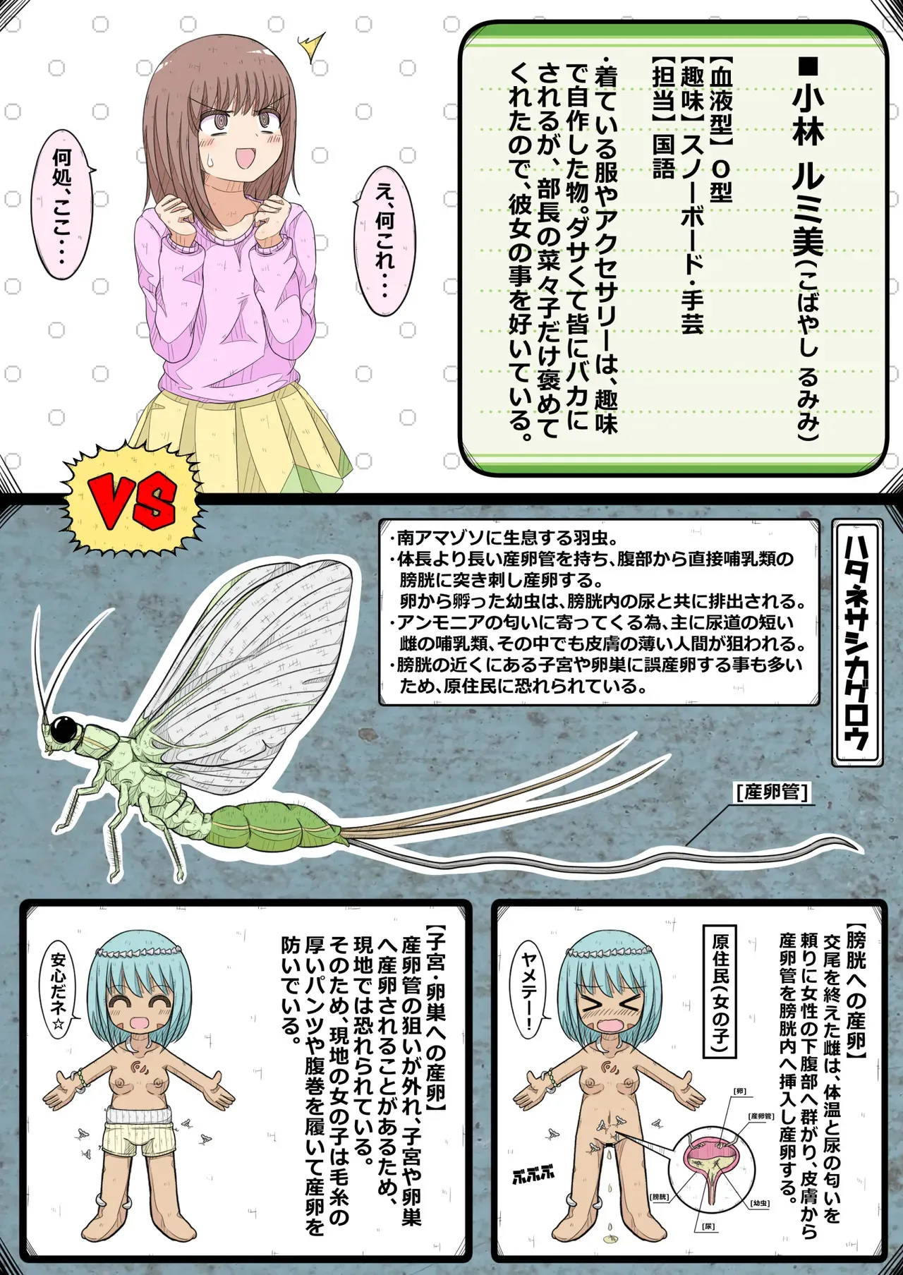 [ナンサークル] 卵巣快楽研究部～顧問の卵巣を掌握せよ！の巻き～_6