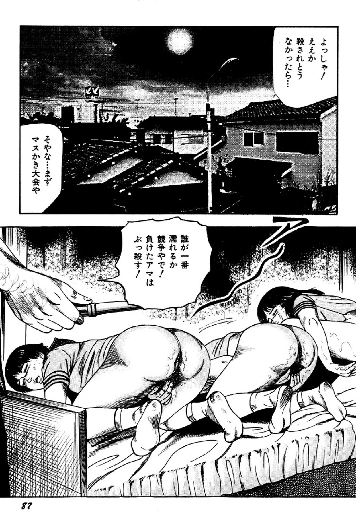 image_87