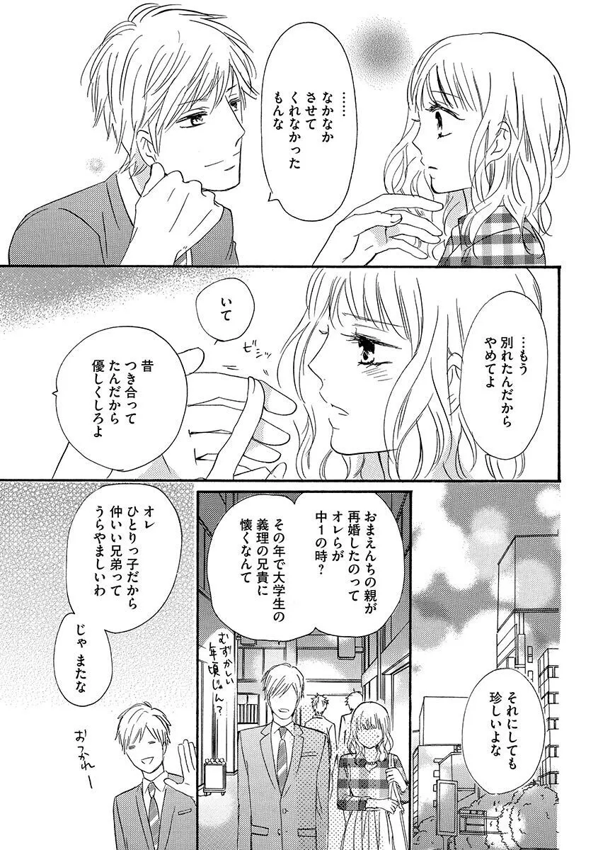 [美波はるこ] 兄の恋人_10
