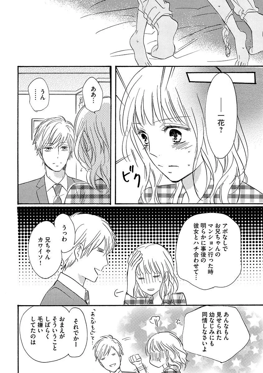 [美波はるこ] 兄の恋人_9
