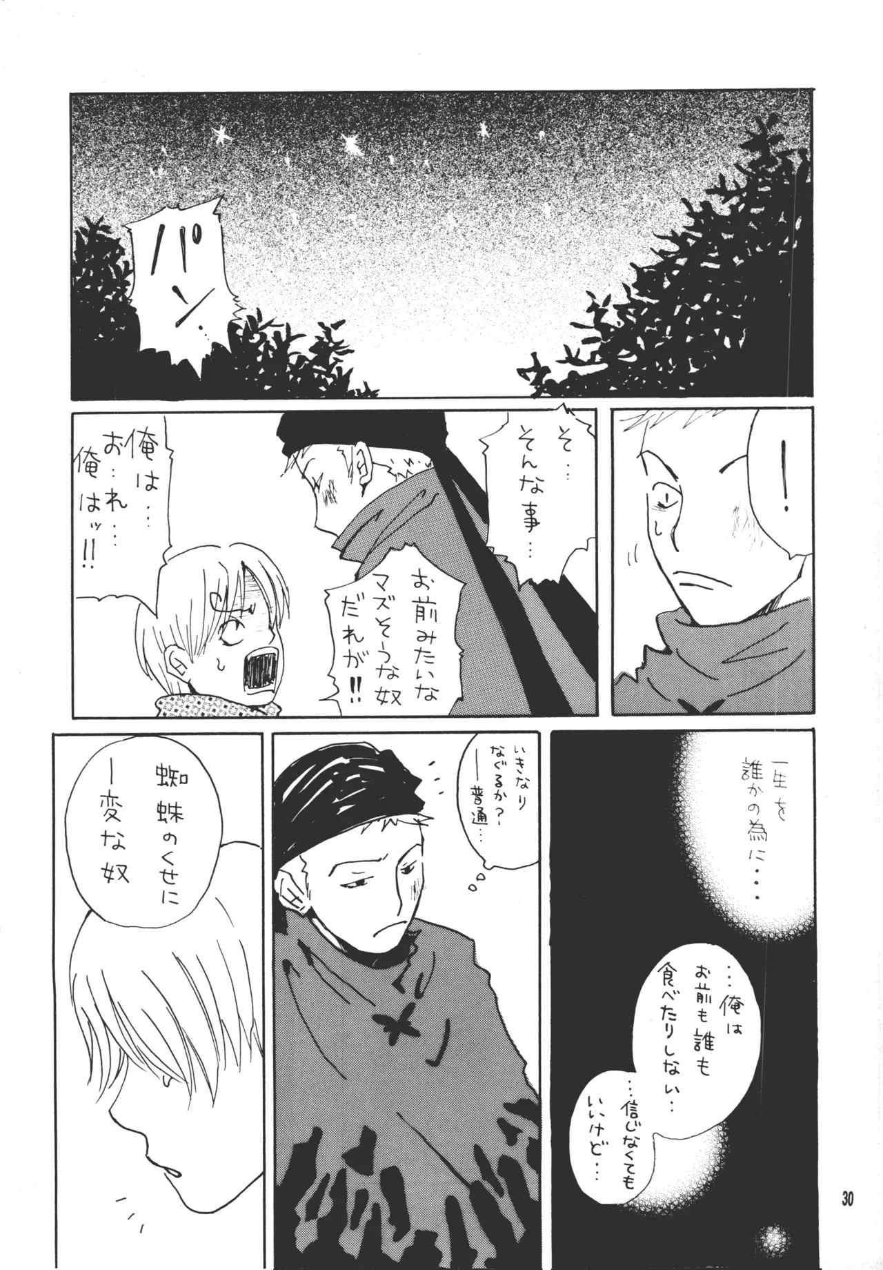 image_29
