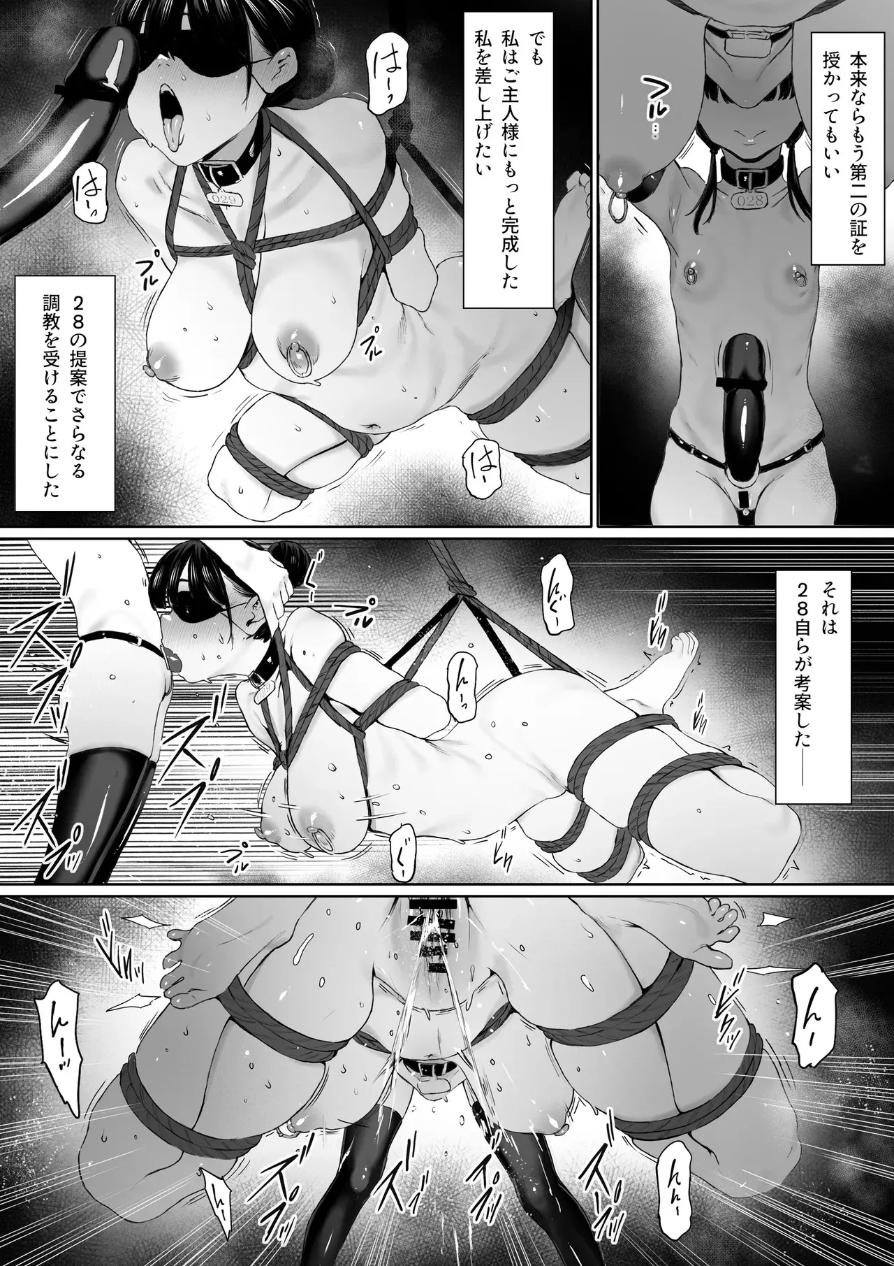image_79