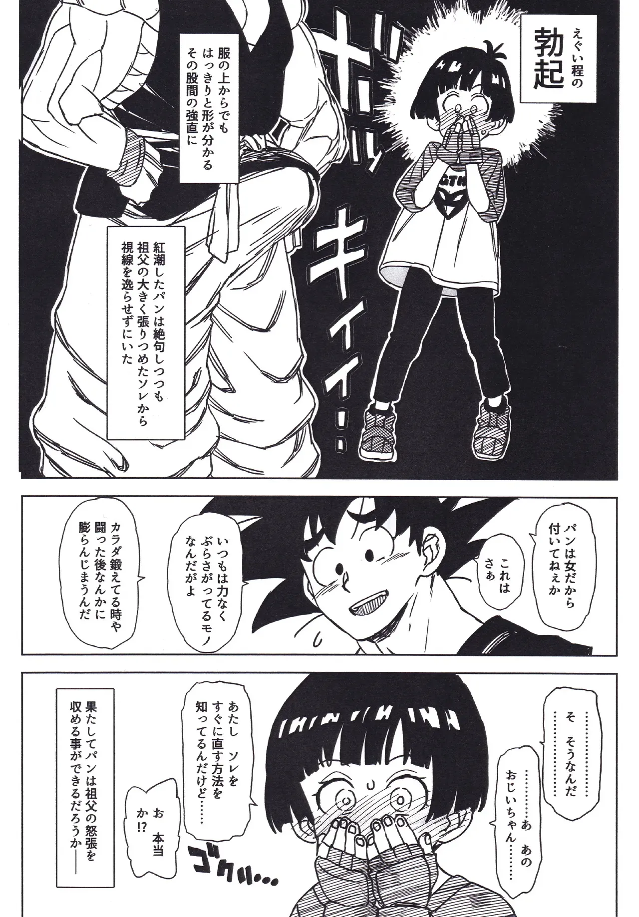 (C104) [MURDERHOUSE (若穂りく)] ジジパン本仕込み (ドラゴンボール)_5