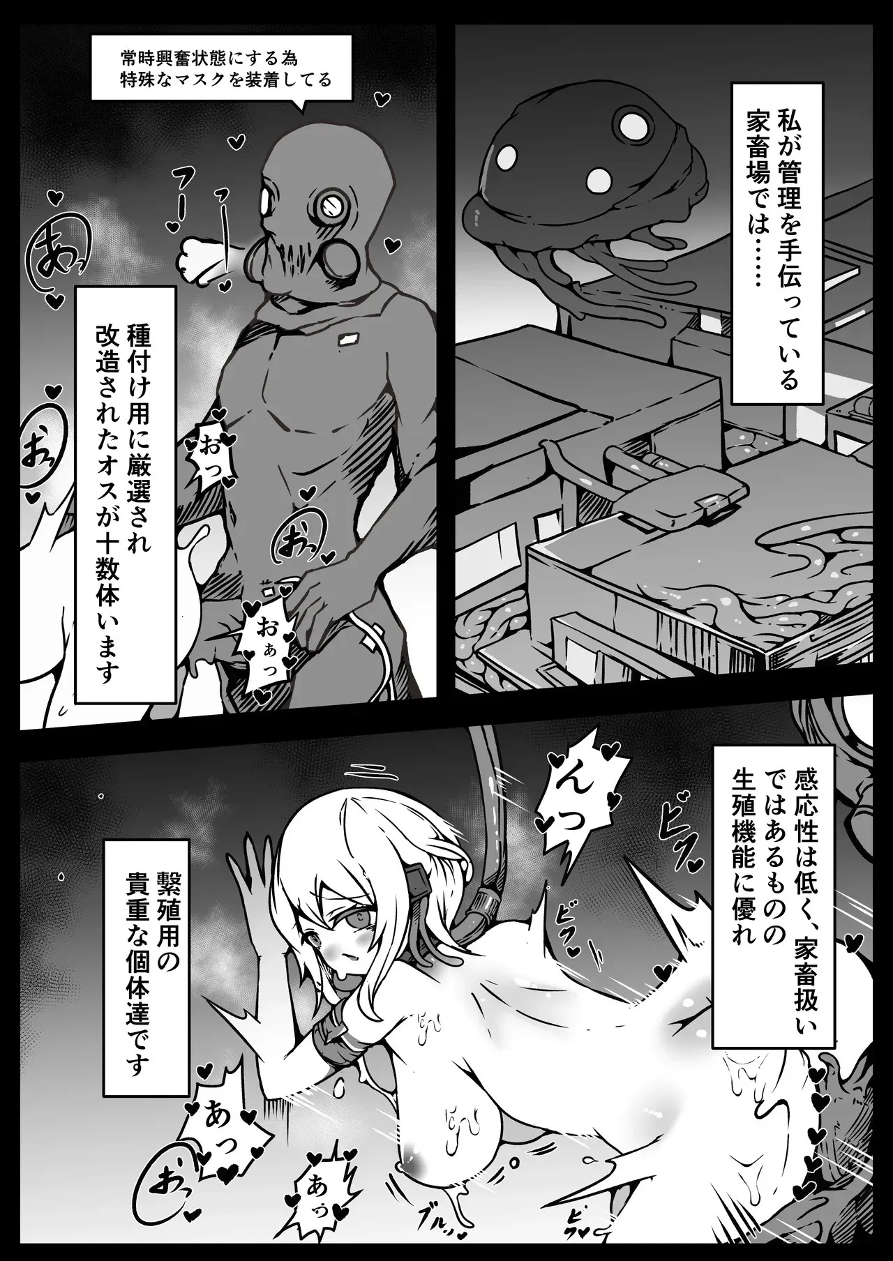 image_31