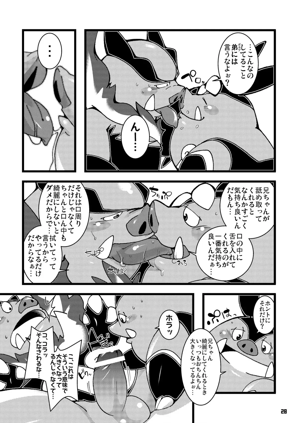 image_27