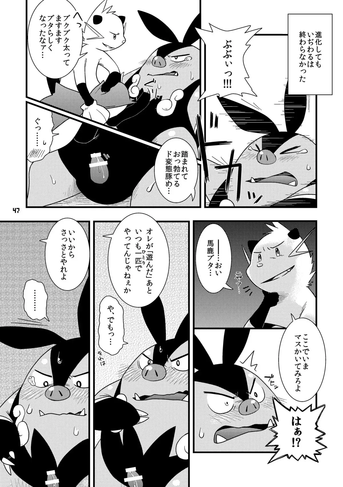 image_46
