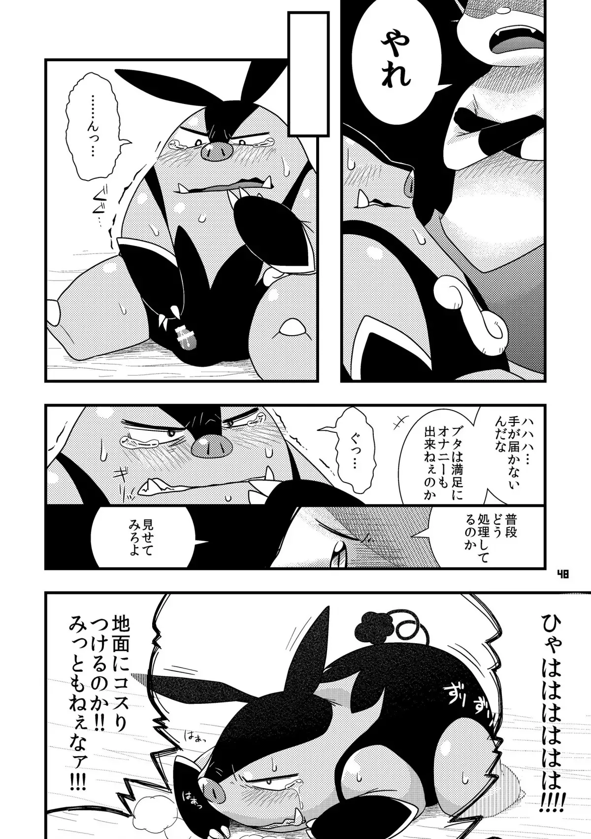 image_47