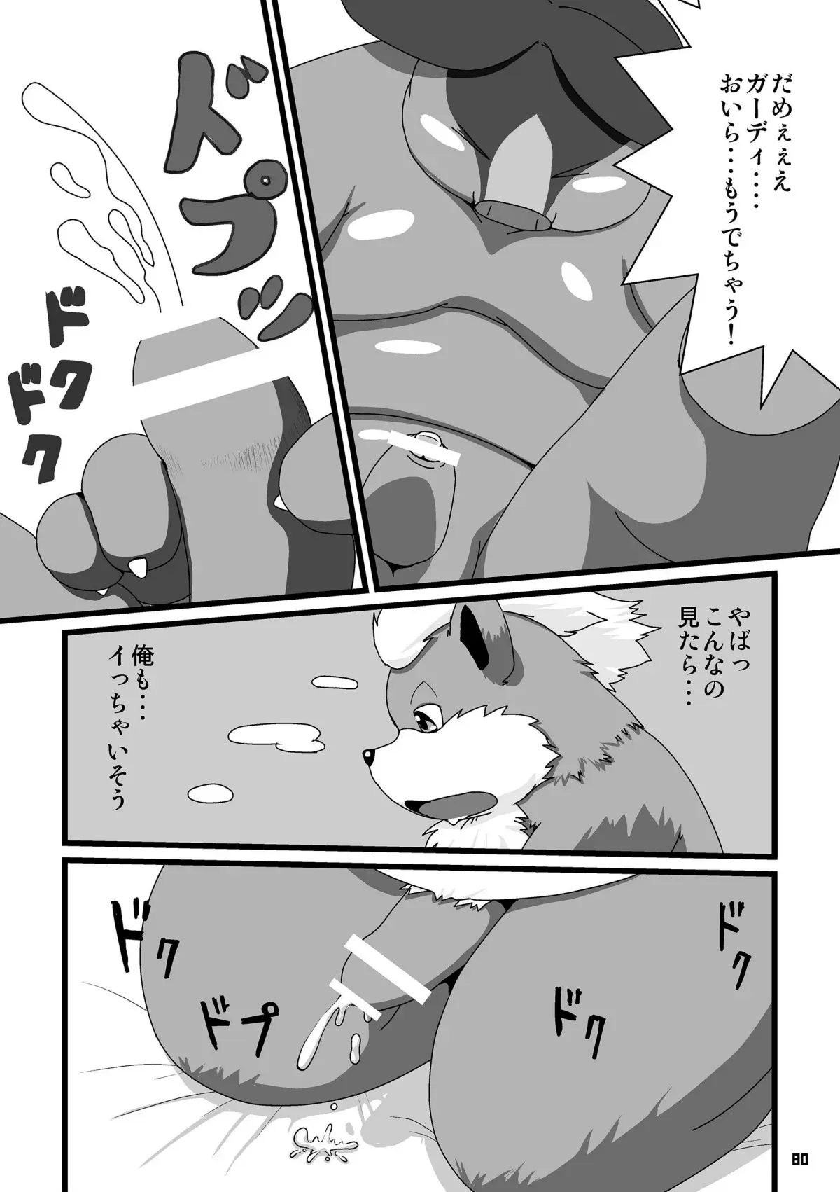 image_79